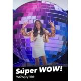 ALQUILER BOLA DISCO PARA EVENTOS 