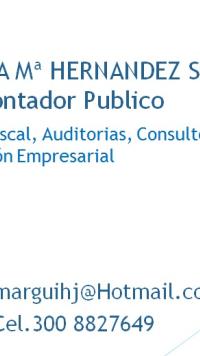 contadora publica margarita hernandez salas wowpyme
