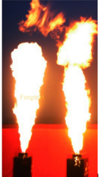 ALQUILER DE FLAMEADORES CARTAGENA DE INDIAS 